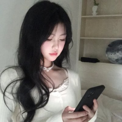 总统的危机